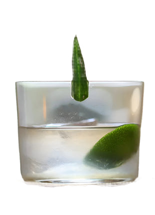 Clear glass with a lime wedge on a wooden coaster against a blurred background