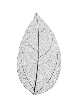 Skeleton leaves - Cocktailceremony