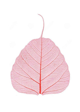 Skeleton leaves - Cocktailceremony