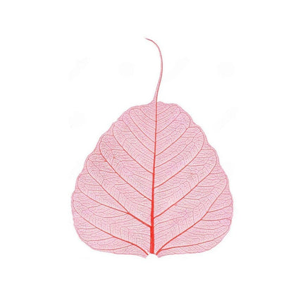 Skeleton leaves - Cocktailceremony