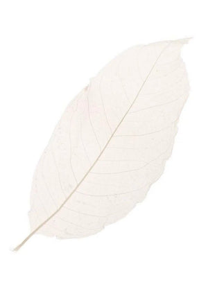 Skeleton leaves - Cocktailceremony