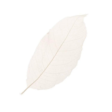 Skeleton leaves - Cocktailceremony