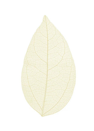 Skeleton leaves - Cocktailceremony