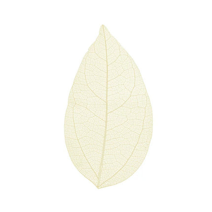 Skeleton leaves - Cocktailceremony