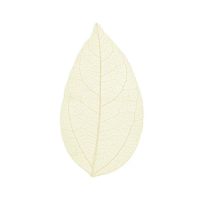 Skeleton leaves - Cocktailceremony