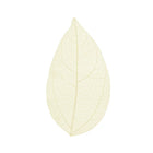 Skeleton leaves — floating on a foam top | Cocktail Ceremony