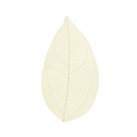 Skeleton leaves — floating on a foam top | Cocktail Ceremony