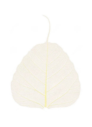 Skeleton leaves - Cocktailceremony