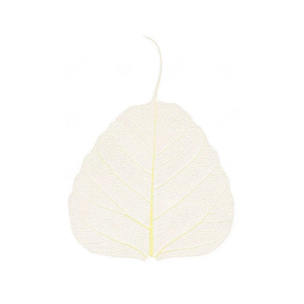 Skeleton leaves - Cocktailceremony
