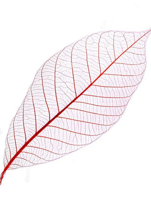 Skeleton leaves - Cocktailceremony
