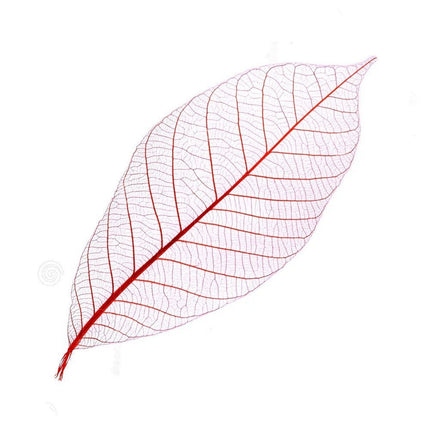 Skeleton leaves - Cocktailceremony