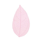 5-7 cm / Pink