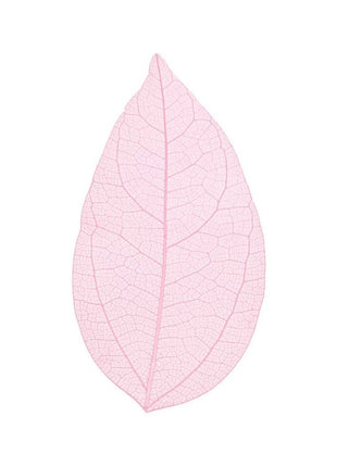 Skeleton leaves - Cocktailceremony