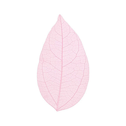 Skeleton leaves - Cocktailceremony