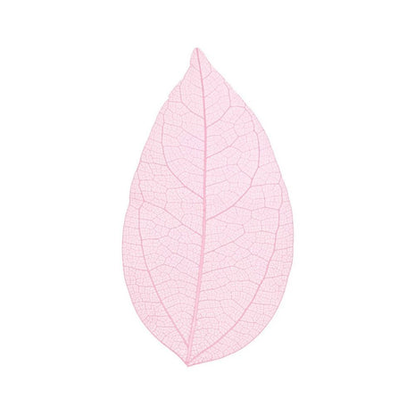 Skeleton leaves — leaf detail | Cocktail Ceremony