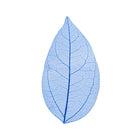 Skeleton leaves — silver leaves | Cocktail Ceremony